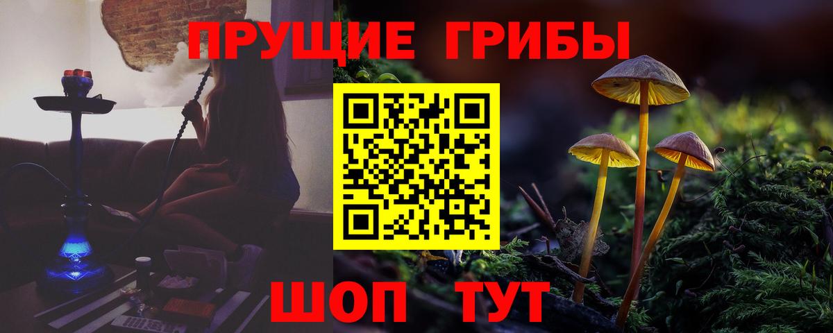Псилоцибиновые грибы GOLDEN TEACHER Калач-на-Дону