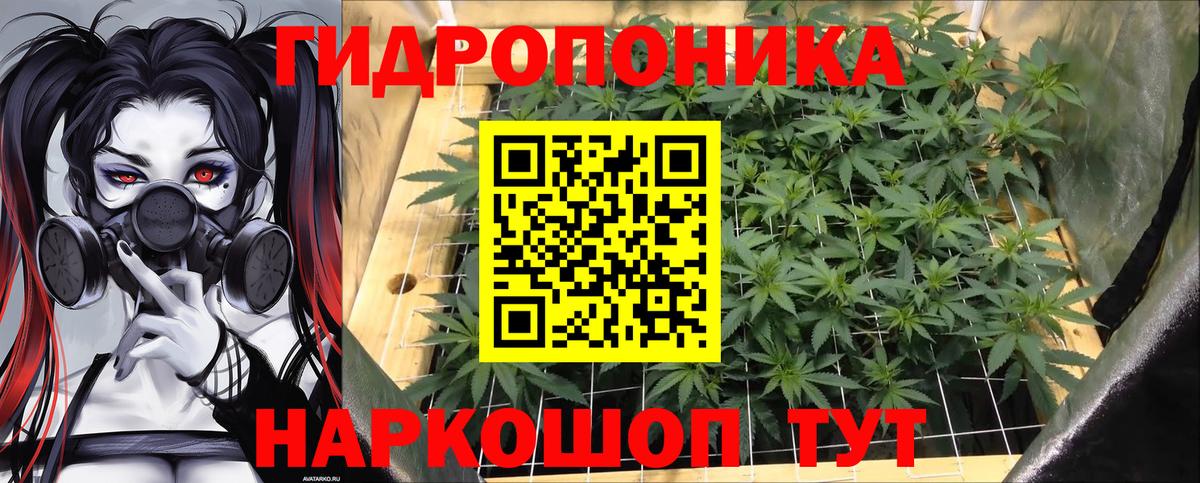 Бошки Шишки индика Калач-на-Дону